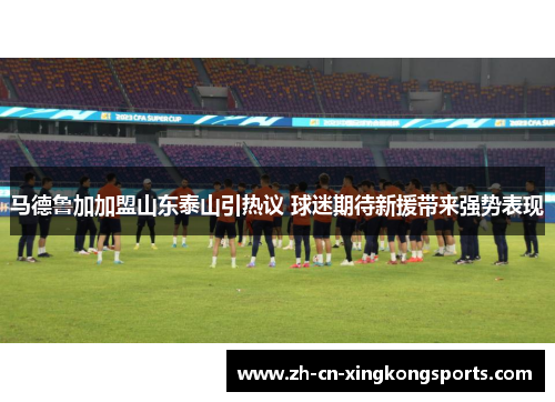 马德鲁加加盟山东泰山引热议 球迷期待新援带来强势表现