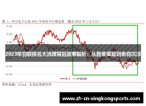2023年羽联排名大洗牌背后故事解析：从新星崛起到老将沉浮