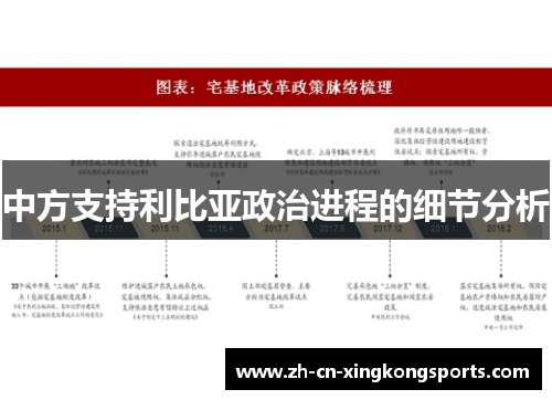 中方支持利比亚政治进程的细节分析